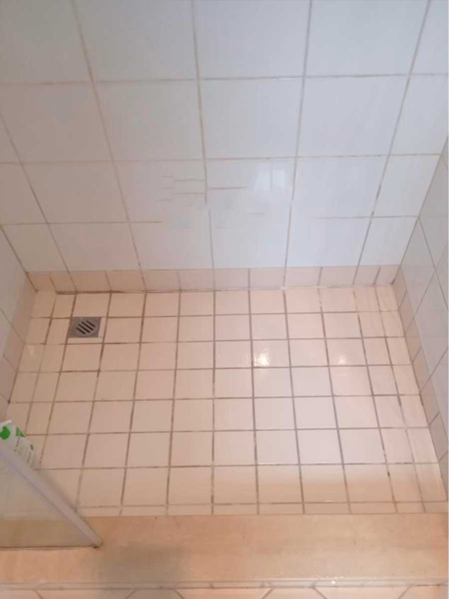 Before Cleaning